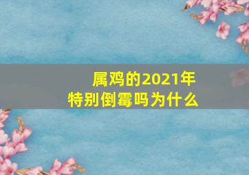 属鸡的2021年特别倒霉吗为什么