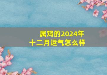 属鸡的2024年十二月运气怎么样