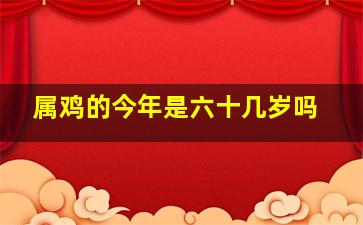 属鸡的今年是六十几岁吗