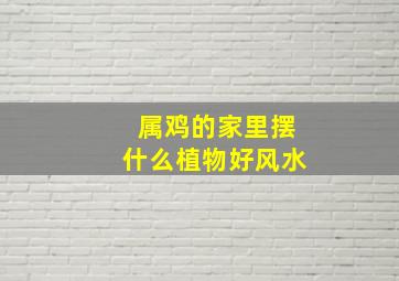 属鸡的家里摆什么植物好风水