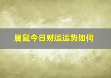 属鼠今日财运运势如何