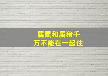 属鼠和属猪千万不能在一起住