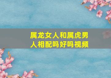 属龙女人和属虎男人相配吗好吗视频