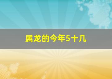 属龙的今年5十几