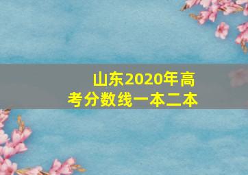 山东2020年高考分数线一本二本