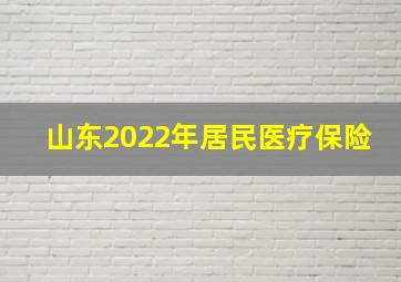 山东2022年居民医疗保险