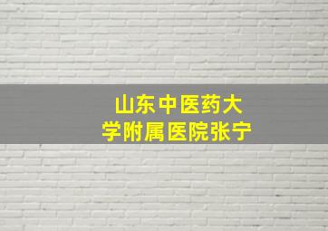 山东中医药大学附属医院张宁