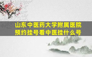 山东中医药大学附属医院预约挂号看中医挂什么号