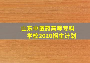 山东中医药高等专科学校2020招生计划