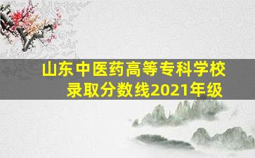 山东中医药高等专科学校录取分数线2021年级