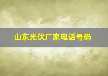 山东光伏厂家电话号码