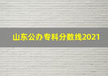 山东公办专科分数线2021