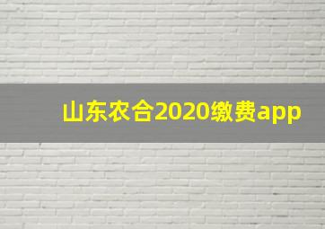 山东农合2020缴费app