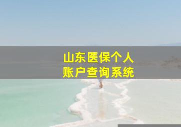 山东医保个人账户查询系统