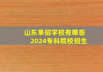 山东单招学校有哪些2024专科院校招生