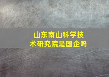 山东南山科学技术研究院是国企吗