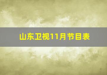 山东卫视11月节目表