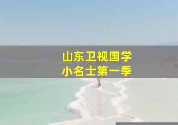 山东卫视国学小名士第一季