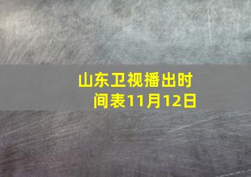 山东卫视播出时间表11月12日