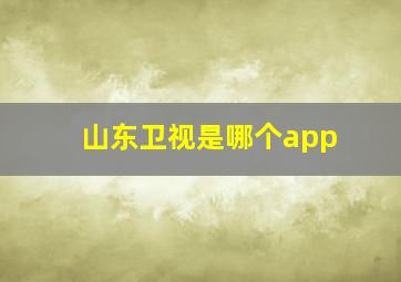 山东卫视是哪个app