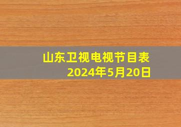 山东卫视电视节目表2024年5月20日