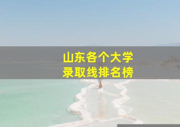 山东各个大学录取线排名榜