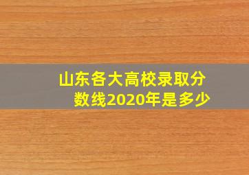 山东各大高校录取分数线2020年是多少