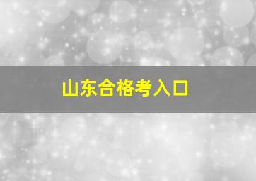 山东合格考入口