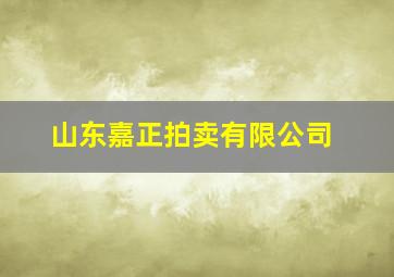 山东嘉正拍卖有限公司