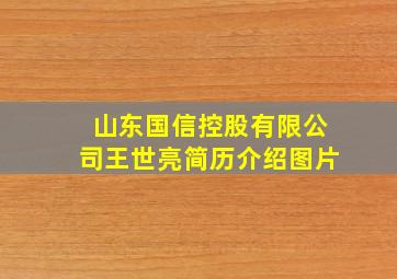 山东国信控股有限公司王世亮简历介绍图片