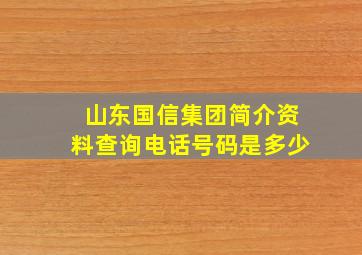 山东国信集团简介资料查询电话号码是多少