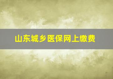 山东城乡医保网上缴费