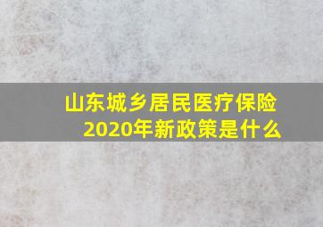 山东城乡居民医疗保险2020年新政策是什么