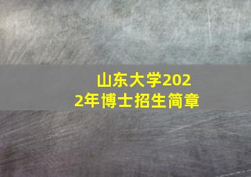 山东大学2022年博士招生简章