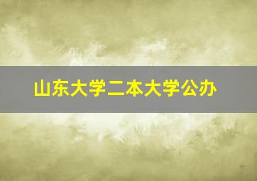 山东大学二本大学公办