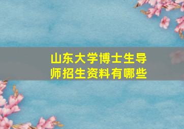 山东大学博士生导师招生资料有哪些