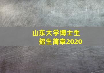 山东大学博士生招生简章2020