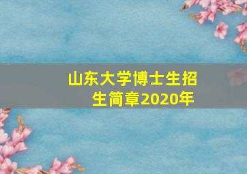 山东大学博士生招生简章2020年