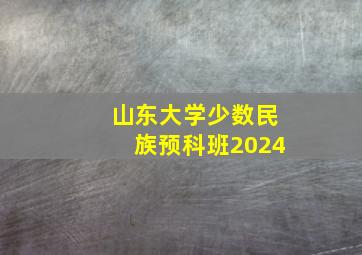 山东大学少数民族预科班2024