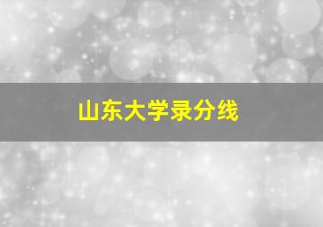 山东大学录分线