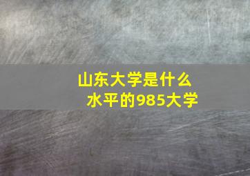 山东大学是什么水平的985大学