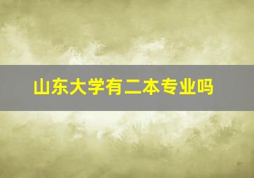 山东大学有二本专业吗