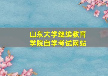 山东大学继续教育学院自学考试网站