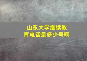 山东大学继续教育电话是多少号啊