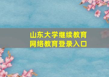 山东大学继续教育网络教育登录入口