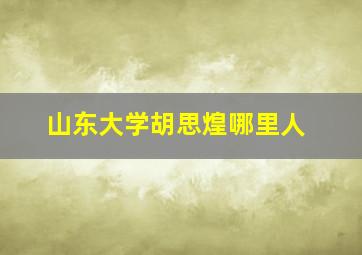 山东大学胡思煌哪里人