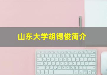 山东大学胡锡俊简介