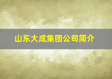 山东大成集团公司简介