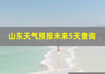 山东天气预报未来5天查询