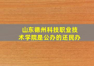 山东德州科技职业技术学院是公办的还民办